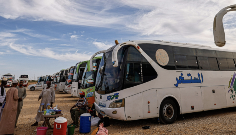 قانون اللجوء الجديد